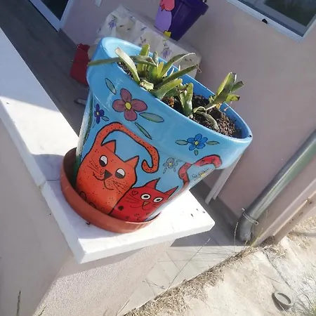 House בית כפרי *